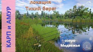 Русская рыбалка 4 - озеро Медвежье - Карпы и амуры