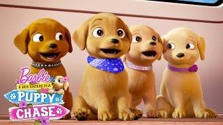 Puppy Playground  Barbie & Her Sisters in a Puppy Chase  @Barbie