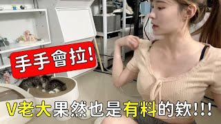 【vivi林芝衣】這手手很會拉啊，V老大果然是有料的欸