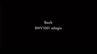 Bach adagio in g minor Siyu Wu