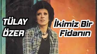 Tülay Özer - İkimiz Bir Fidanın