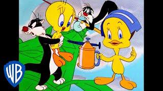 Looney Tunes  Best of Tweety Bird and Sylvester  Classic Cartoon Compilation  WB Kids