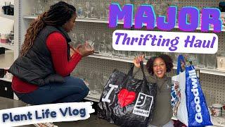 Plant Life Vlog Goodwill Thrifting + Cleaning Pon + Propagating Hoyas