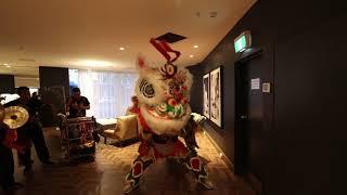 HK Lion Dancing  Vibe Hotel  Feb 2019  AUS Jing Yee Lion Dance