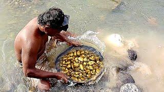 MUJUR BANGETPRIA INI MENEMUKAN HARTA KARUN EMASDI ALIRAN SUNGAITHIS YOUNG MAN FOUND PURE GOLD