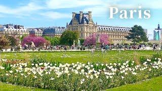 4K Paris Walk Tuileries Garden  Palais-Royal Pl. Vendome  Lunch at Two Michelin Stars