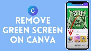 How to Remove Green Screen in Canva 2024