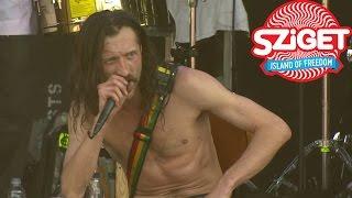 Gogol Bordello - Lela Pala Tute Live @ Sziget 2015