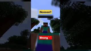 You always did it wrong in Minecraft #4