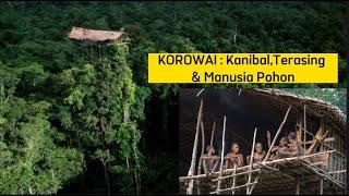 KOROWAI  Indonesia Kanibal Terasing & Manusia Pohon