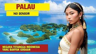 Kepulauan Yang Katanya Lebih Indah Dari Indonesia? Fakta Menarik Palau Seperti apa kehidupan mereka