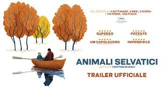 Animali Selvatici  Trailer Ufficiale  Dal 6 Luglio al cinema