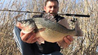 How to catch White Perch in the Winter on Long Island