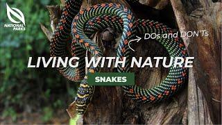 NParks Wildlife Advisory Snakes