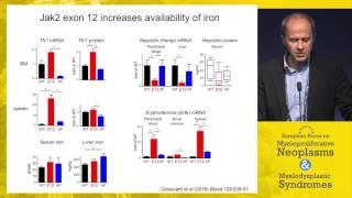 New mouse models of MPN