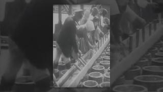 Fish Factory in Astrakhan 1908 documentary