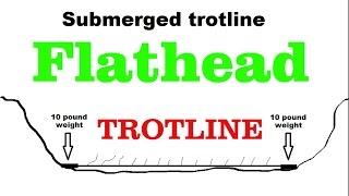 What type of trotline should I use? - Trotliners