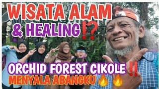 ORCHID FOREST CIKOLE⁉️ WISATA HITS LEMBANG BANDUNG‼️MENYALA ABANGKU