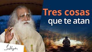 Descubre el poder de tu mente liberándote de estas tres cosas  Sadhguru Español