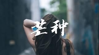 音阙诗听 -《芒种》 赵方婧 【高音質&動態歌詞Lyrics】「 一想到你我就 wu 」