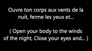 Garou & Céline Dion - Sous le vent LYRICS + TRANSLATION