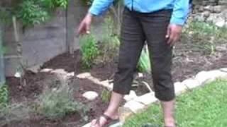 Organic Herb Gardening Tips  How To Grow Organic Thyme