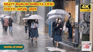 4k hdr japan travel 2024 l Heavy Rain Walk in Shibuya 渋谷 Tokyo  Relaxing Natural City ambience