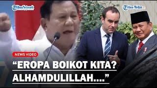 LANTANG Prabowo Bodo Amat Kebijakan Eropa Boikot Kelapa Sawit Indonesia Alhamdulillah