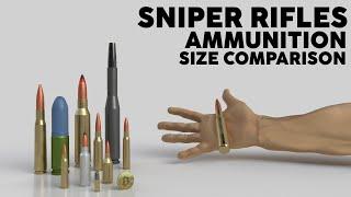 Sniper Rifles Precision Rifles Ammunition Size Comparison - 3D