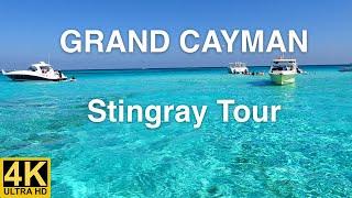 Stingray Tour Grand Cayman Discover the islands best snorkeling tour Coral Garden Stingray City