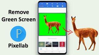 How to Remove Green Screen Background In Pixellab