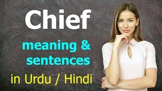 Chief meaning in Hindi Urdu with sentences and translation from English  English words meaning