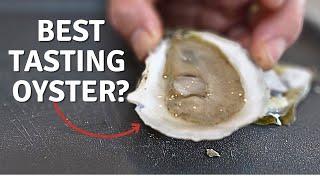 Oyster Taste Test  WEST Coast vs EAST Coast