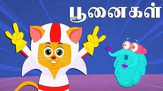 பூனைகள்  How Do Cats Survive Massive Falls  Dr. Binocs Tamil  Best Educational Videos