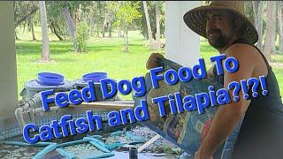 Can You Feed Dog Food To Catfish and Tilapia?