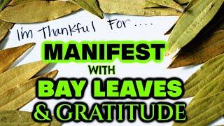 BURN BAY LEAVES WITH GRATITUDE AND WATCH HOW FAST YOU MANIFEST  BRING LUCK YOUR WAY