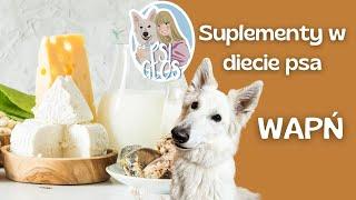 Suplementy dla psa - suplementy wapnia w diecie psa  dieta BARF