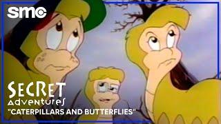 Caterpillars and Butterflies  Secret Adventures -- clips  SolaryMedia