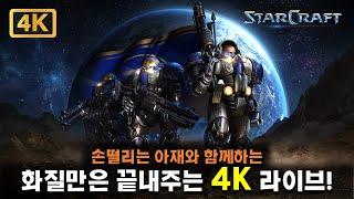 4K 손떨리는 아재의 화질만은 끝내주는 스타크래프트 4K 라이브 2024.06.01