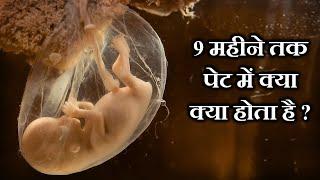 इंसान के बच्चे का जन्म कैसे होते हैं ? HOW ARE HUMAN BABIES BORN ?