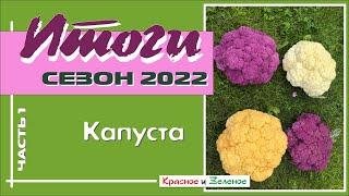 Капуста. Часть 1. Итоги сезона 2022