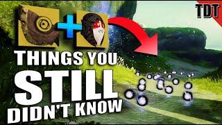 10⁸⁹ Things You Didnt Know About Destiny 2