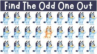 Find The Odd One Out Bluey