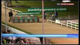 Irish Greyhound Derby 2009