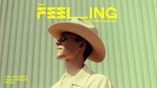 Lost Frequencies - The Feeling The Avener & Adam Trigger Remix