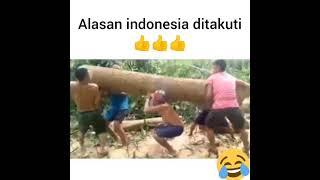 alasan indonesia di takuti