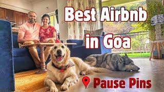 Pet friendly Airbnb in Goa  North Goa  Cozy Home away from Home