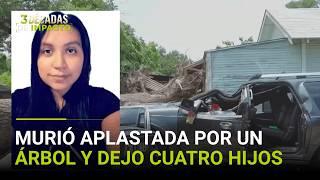 Madre hispana muere aplastada por un árbol durante una tormenta deja huérfanos a cuatro niños