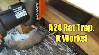 A24 Rat Trap from GoodNature Review