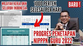 Progres Penetapan NIPPPK Guru 2022 daftar Wilayah Kerja BKN Seluruh Indonesia